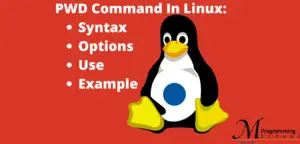 PWD Command In Linux