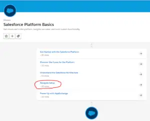 Salesforce Platform Basics - Native Setup