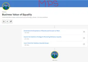 Business Value of Equality -trailhead