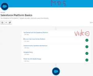 Salesforce Platform Basics