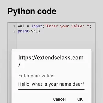 Python User Input