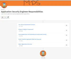 Application Security Engineer Responsibilities