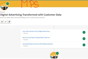 Digital Advertising Transformed with Customer Data