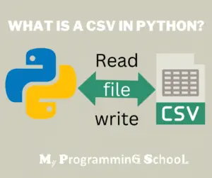What is a CSV in Python