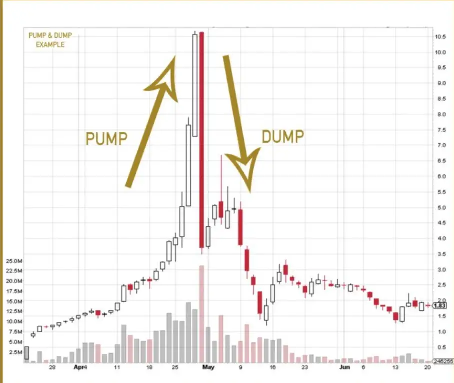 Pump and Dump Scam crypto