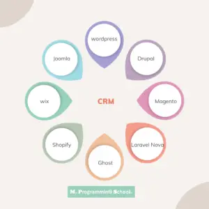 content management systems (CMS)