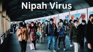 Nipah virus News in India: symptoms and treatment