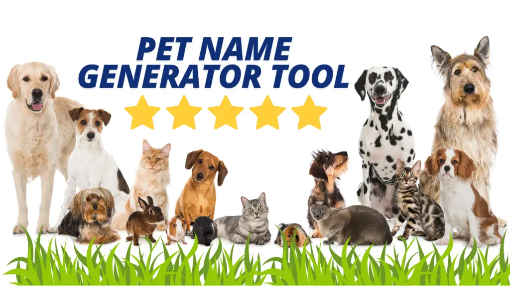 AI Pet Name Generator fantacy