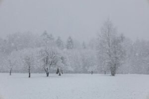Snow-covered winter landscape illustrating polar vortex cold risks